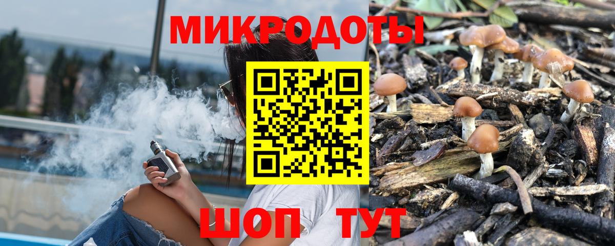 купить   Псилоцибиновые грибы MAGIC MUSHROOMS  Вход с VPN  Валуйки 