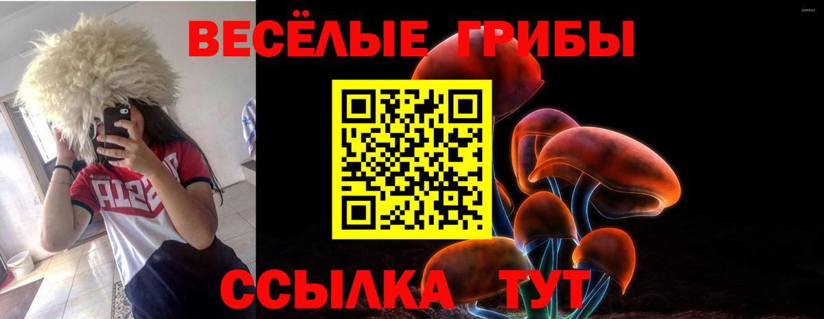 Псилоцибиновые грибы Cubensis Валуйки